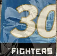北海道日本ハムファイターズ 2026年 FAV限定30回来ました！タオル