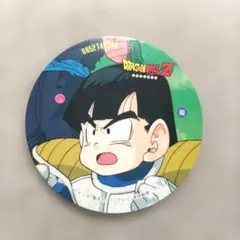ドラゴンボールZ 　悟飯　送料込 ドラゴンボールメンコ