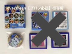 evergreen【プロフ必読】様専用のサムネイル