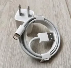 新品 Apple 純正品 Lightningケーブル USB ACアダプタ