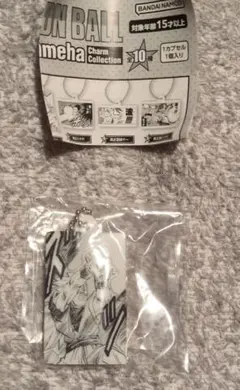 DRAGON BALL　かめはめ波 Charm Collection
