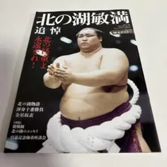 2026年最新】北の湖の人気アイテム - メルカリ