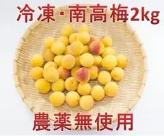 0306❄️クール便「冷凍完熟南高梅」4L3kg 梅酒 シロップ(梅干しOK