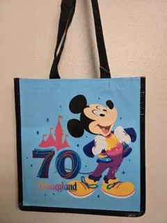2025年最新】カリフォルニアディズニーエコバッグの人気アイテム