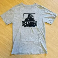 XLARGE エクストララージ　Tシャツ グレー　サイズM