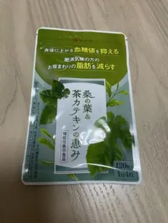 新品未開封品 和漢の森 桑の葉&茶カテキンの恵み 120粒入 匿名配送