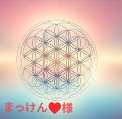 まっけん♥様ご専用です。