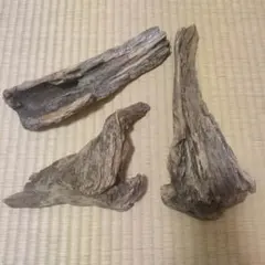 水槽用流木 3点セット