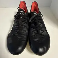 Item thumbnail for item 2674e036-7f83-4a14-82d2-31d9543c0e55