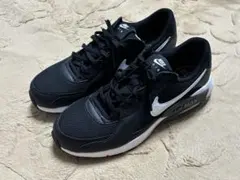 NIKE エア マックス エクシー 29cm
