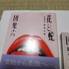 天野喜孝 花と蛇 初版 団鬼六 絵画 画集 帯付き Amazon.co.jp: 画集「花と蛇」 : 天野 喜孝: 本