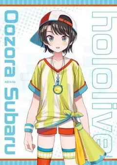 希少品 大空スバル character1 B2タペストリー ホロライブ - メルカリ