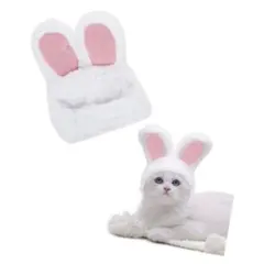 Item thumbnail for item e95bc5b7-050f-4177-b68a-f008860e59e8