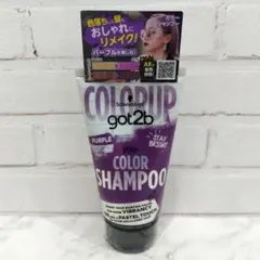 【新品未開封】パープル got2b カラーシャンプー ゴットゥービーのサムネイル