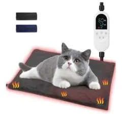 Item thumbnail for item d5fb9f89-051e-4e3f-9642-5e2b45f2da39