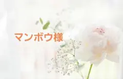 マンボウ様専用