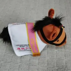 サラブレッドコレクション2023年オークス リバティアイランド