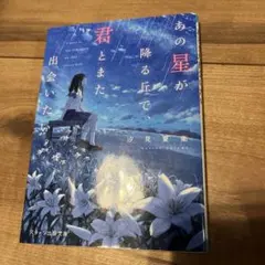 あの星が降る丘で君とまた出会いたい。