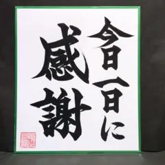 やまと緑様 リクエスト 3点 まとめ商品