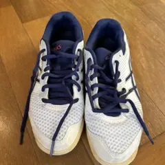 Item thumbnail for item c51d2618-d15a-4d3c-bb3e-720ea5ddff79