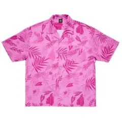 Item thumbnail for item 1a1bf859-eace-484f-a094-25ecfb6aff9f