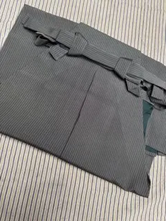 Item thumbnail for item 8f1a6f38-323c-4600-a516-8d651540a2a2