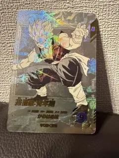 ドラゴンボールスーパーダイバーズ アドバンスパック パラレル 孫悟飯