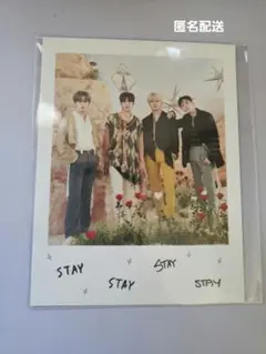 straykids 2023シーグリ　ポストカード