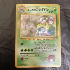 2025年最新】エリカのフシギバナの人気アイテム - メルカリ