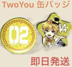 鏡音レン Twoyou限定 缶バッジ　2点セット