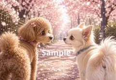 きゅんです♡桜と子犬のデジタルアート イラスト ポストカード