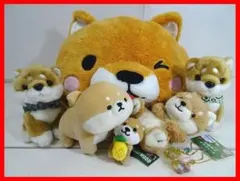 柴犬　豆しば　ぬいぐるみ　キーホルダー　７点セット　中古　Mイ-500