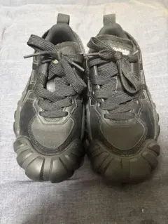 Onitsuka tiger DENTIGRE LL 24.5㎝ 美品紐なし - メルカリ