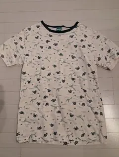 Item thumbnail for item 6859dab0-9b6e-4b93-95d7-aa95ae33381b