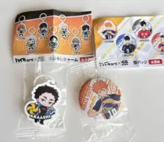 ハイキュー × くら寿司　缶バッジ　めじるしチャーム