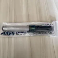 RAYS Snow Man 2024 ペンライト