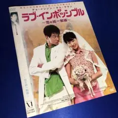 ラブ・インポッシブル 〜恋の統一戦線〜 DVD☆韓国映画