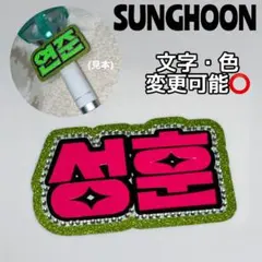 ペンライト用ネームタグ制作【☆オーダーページ☆】 ペンライト用ネームタグ制作【☆オーダーページ☆】 オーダー