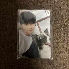 ENHYPEN アンケートトレカ ジョンウォン