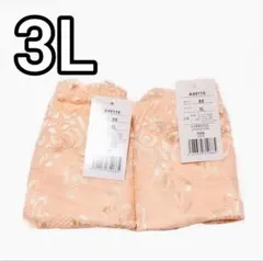 優しいお色が上品★ショーツ 同色 ２枚組(3L)新品