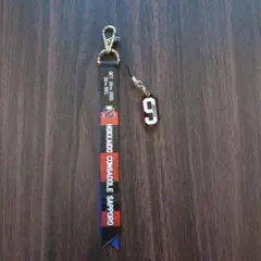 北海道コンサドーレ札幌　水戸戦 ボンフィン　９ ジョルディ　サンチェス選手