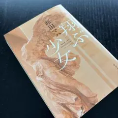 翔ぶ少女 原田マハ 1995年出版