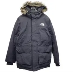 USA限定 THE NORTH FACE 防寒防水透湿ダウンジャケット　L