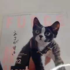FUDGE 12月号 vol.259 猫特集