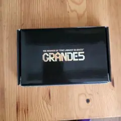 ボートレースGRANDES 555キャンペーン オールスター 競艇 - メルカリ