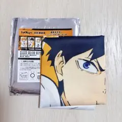 ハイキュー‼︎ 日向翔陽 影山飛雄 新シリーズ決定ポスター ジャン