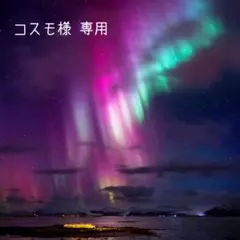 コスモ様　専用　修理分