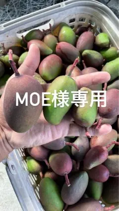 マンゴー MOE様専用