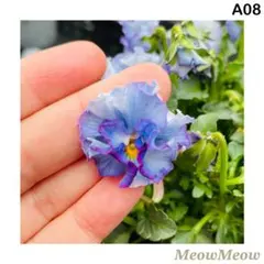 mokoai様 リクエスト 3点 まとめ商品