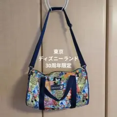 東京ディズニーランド30周年　限定　ショルダーバック